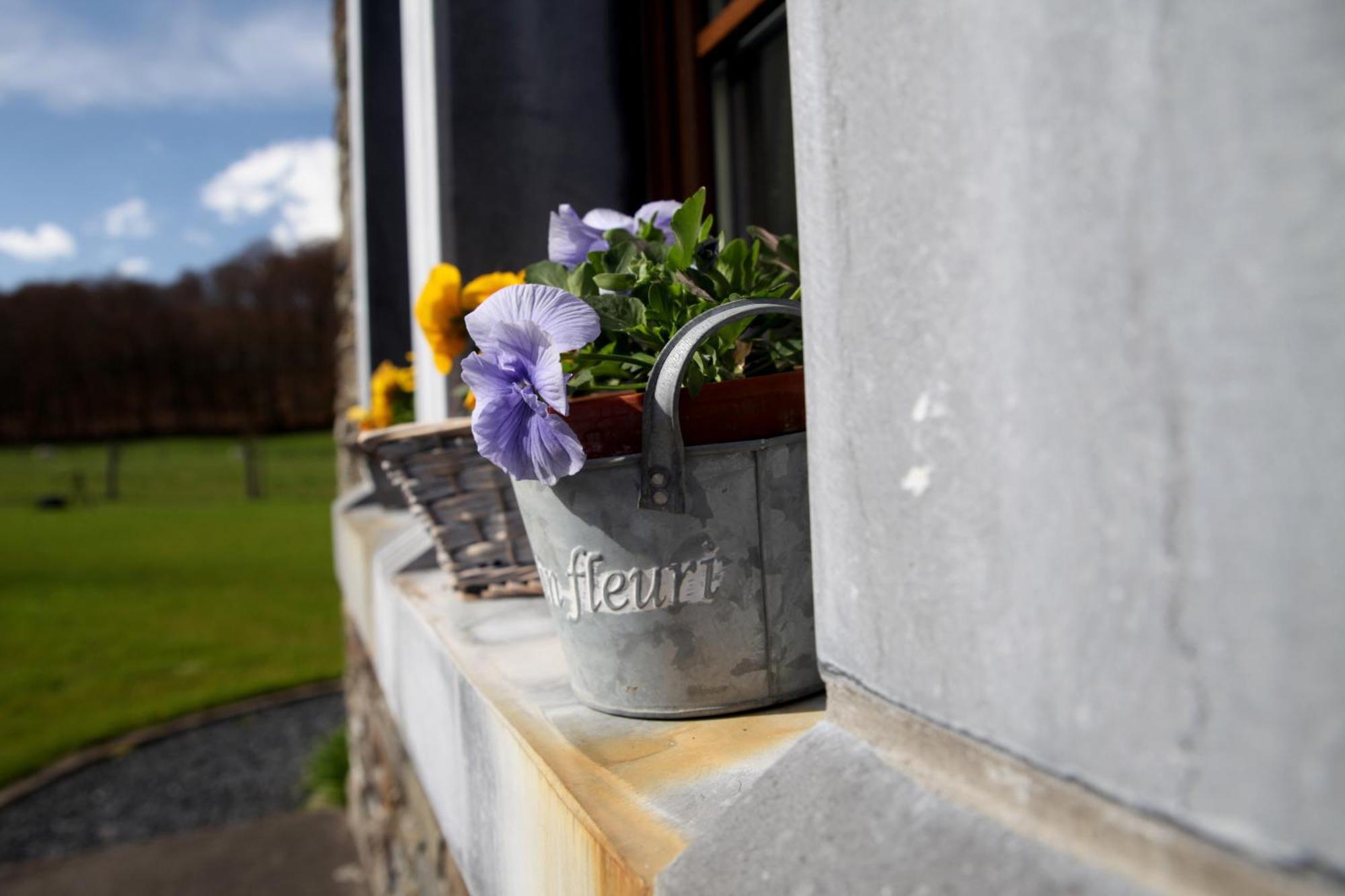 Une Parenthese En Ardenne Nollevaux Exterior foto