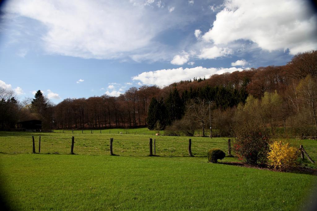 Une Parenthese En Ardenne Nollevaux Quarto foto